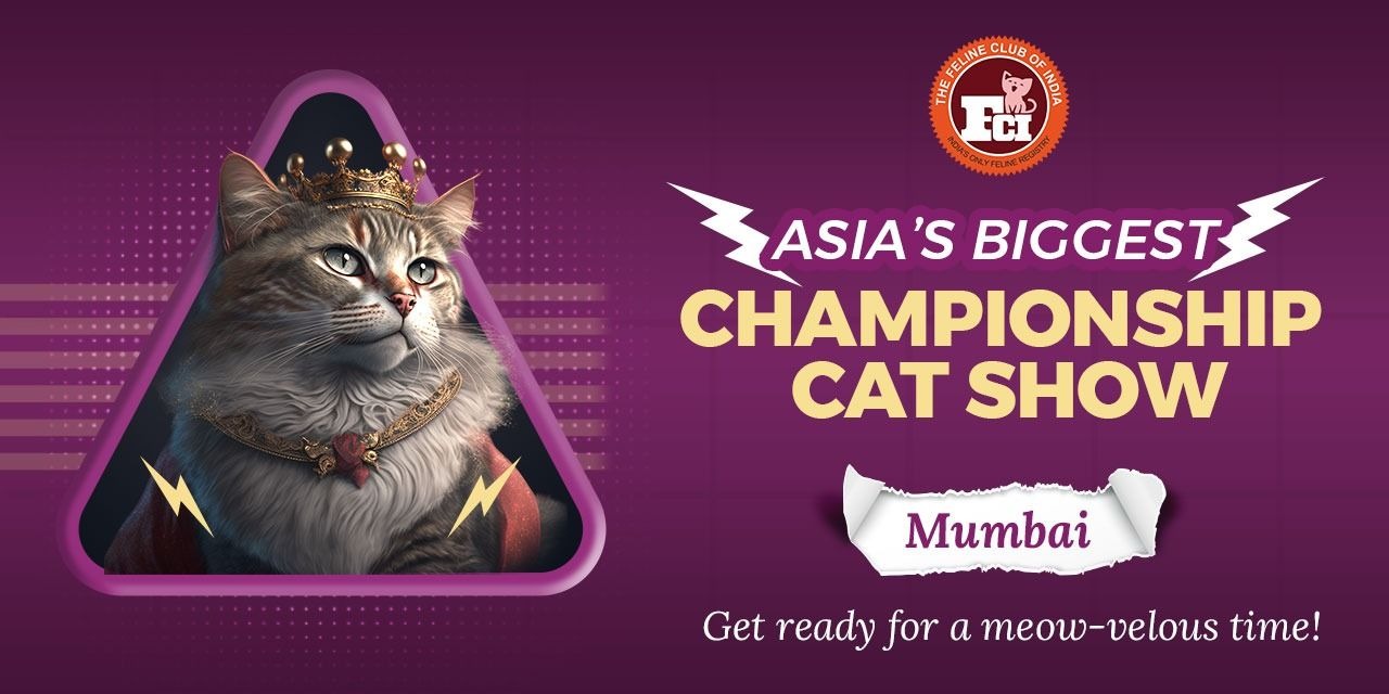 FCI Championship Cat Show Mumbai